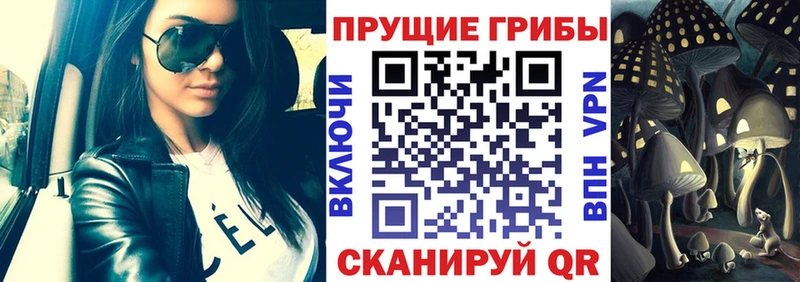 Галлюциногенные грибы MAGIC MUSHROOMS  где купить наркоту  Валдай 