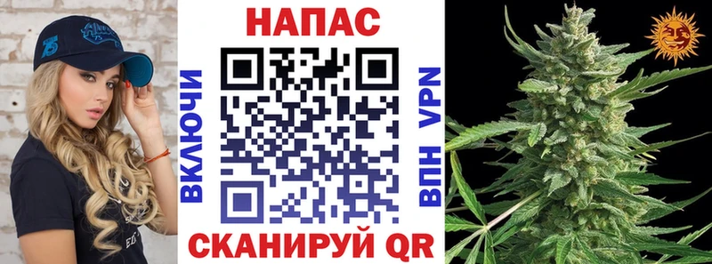 Каннабис MAZAR  Валдай 